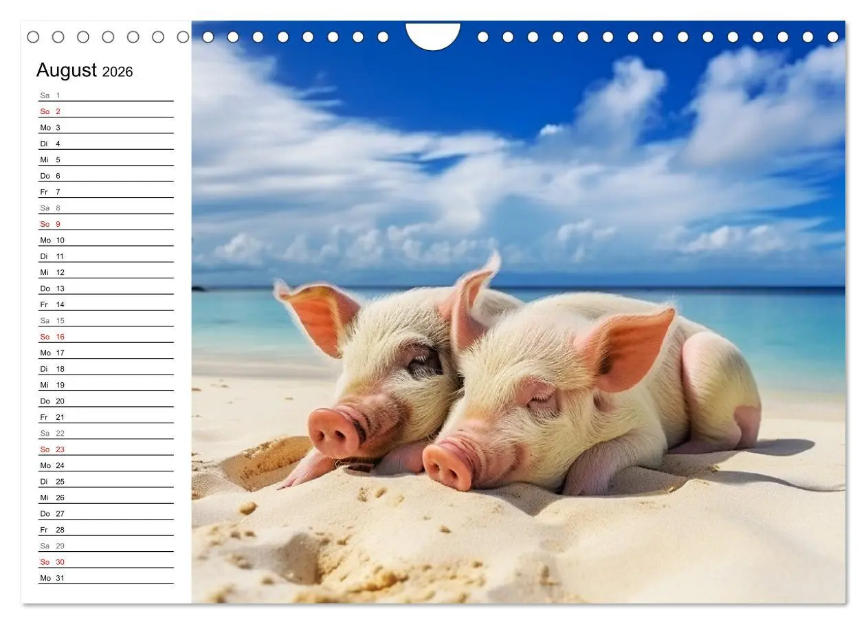Bild: 9783457350737 | Schweinereien in der Karibik. Sonne und Spaß mit schwimmenden...