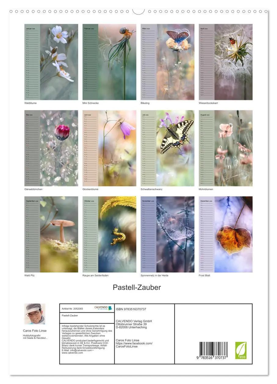 Bild: 9783516370737 | Pastell-Zauber (hochwertiger Premium Wandkalender 2026 DIN A2...