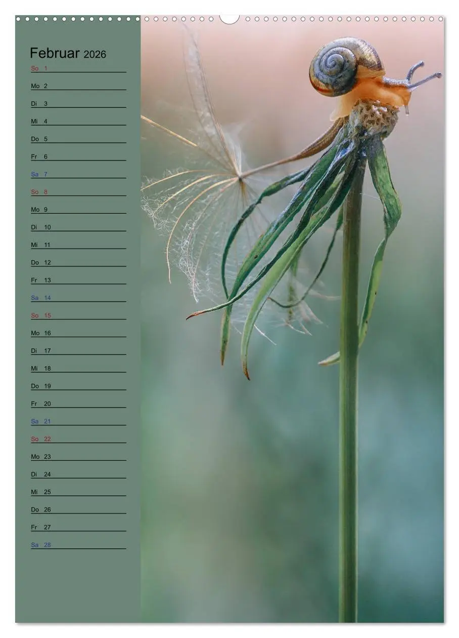Bild: 9783516370737 | Pastell-Zauber (hochwertiger Premium Wandkalender 2026 DIN A2...