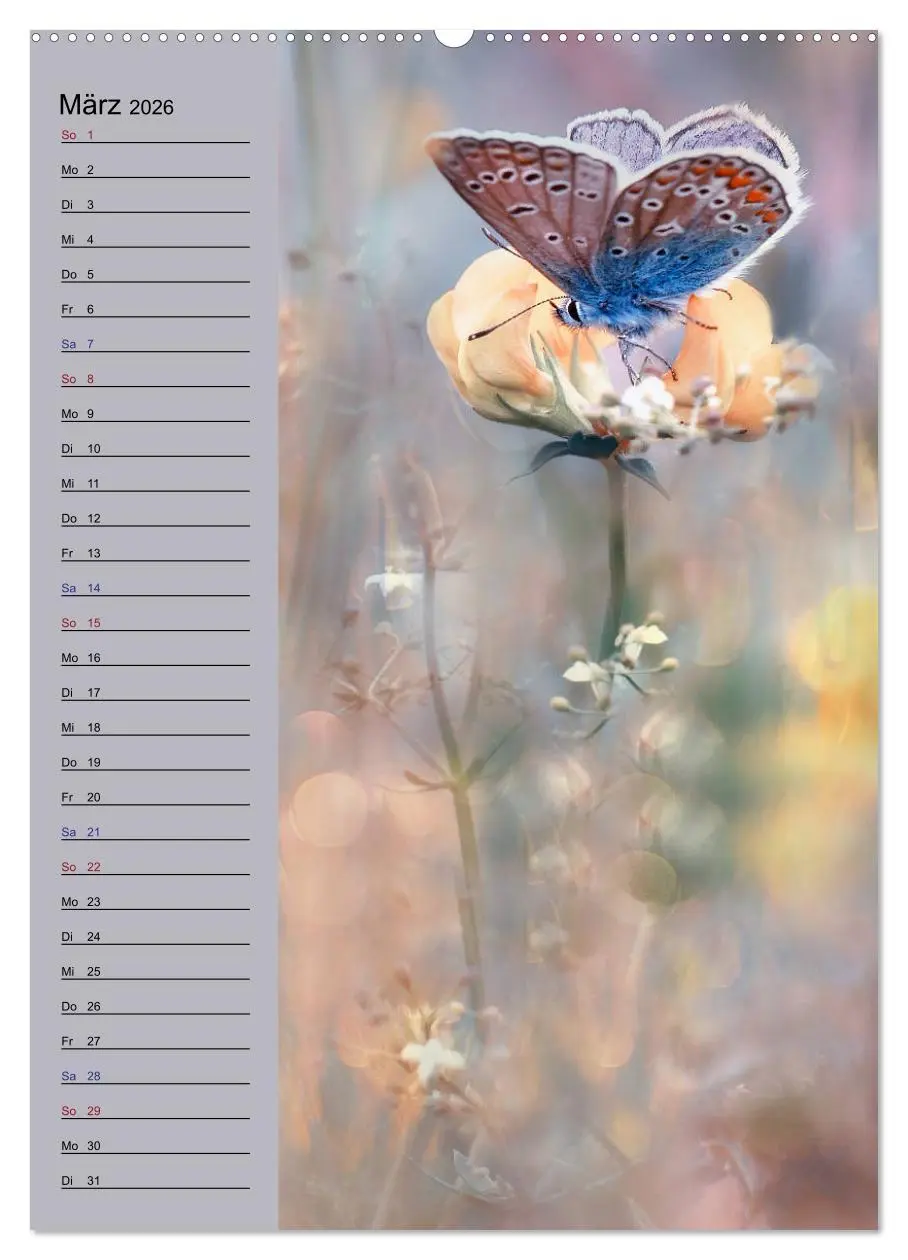 Bild: 9783516370737 | Pastell-Zauber (hochwertiger Premium Wandkalender 2026 DIN A2...