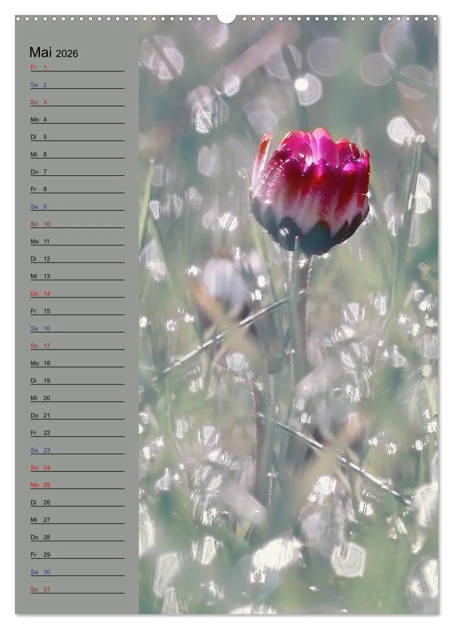 Bild: 9783516370737 | Pastell-Zauber (hochwertiger Premium Wandkalender 2026 DIN A2...