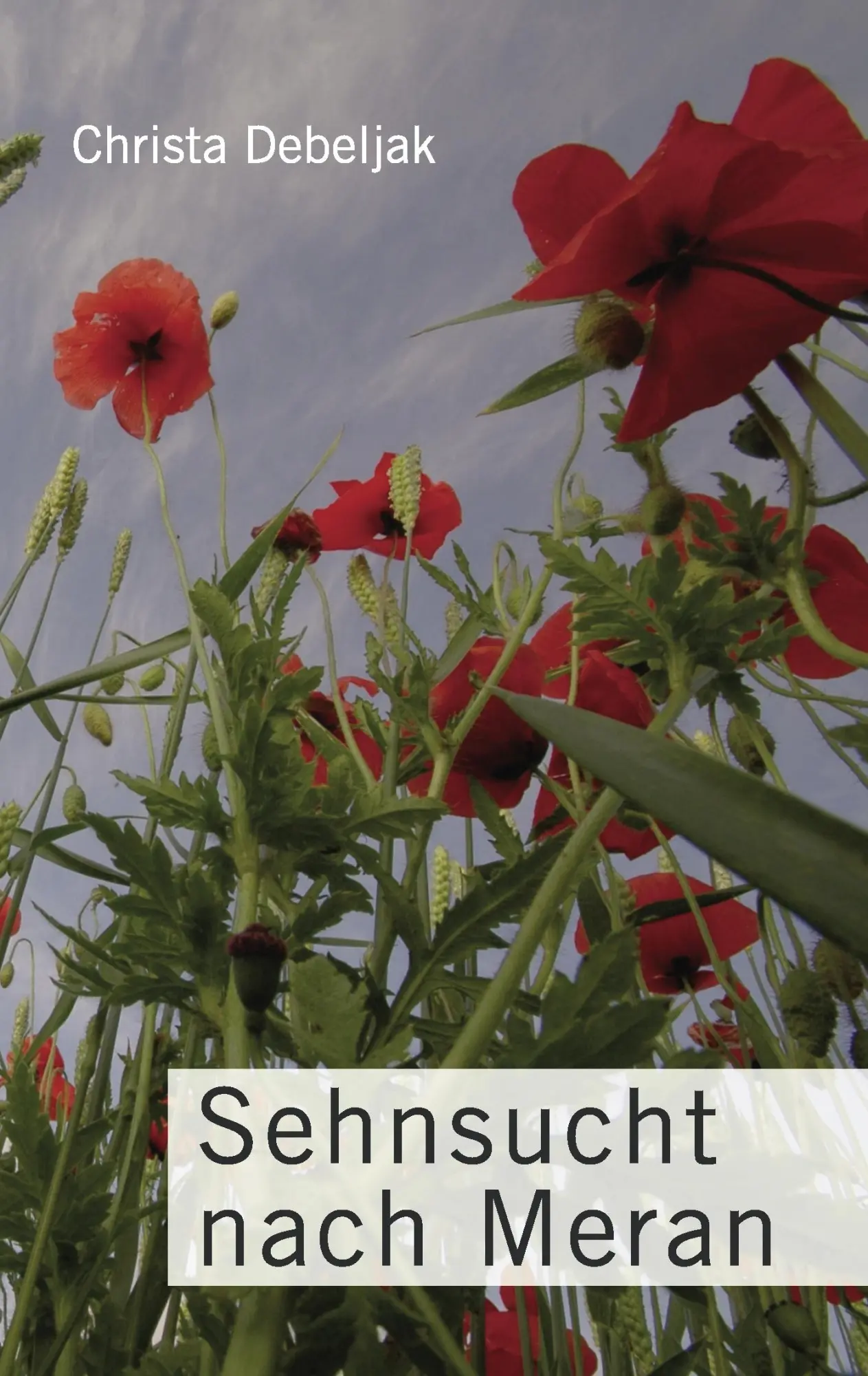 Sehnsucht nach Meran: Für meine Tochter Marion