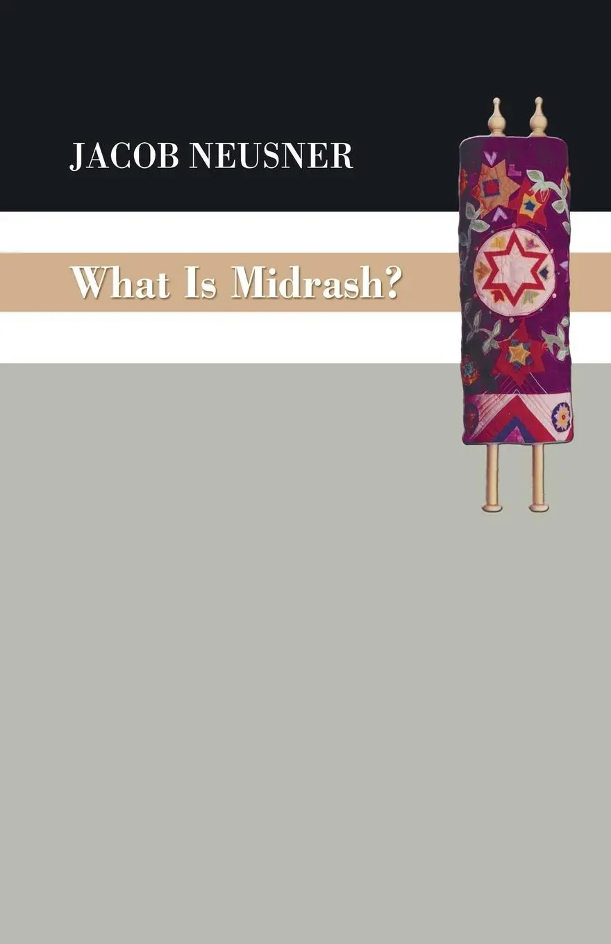 Cover: 9781498200837 | What Is Midrash? | Jacob Neusner | Taschenbuch | Englisch | 2014