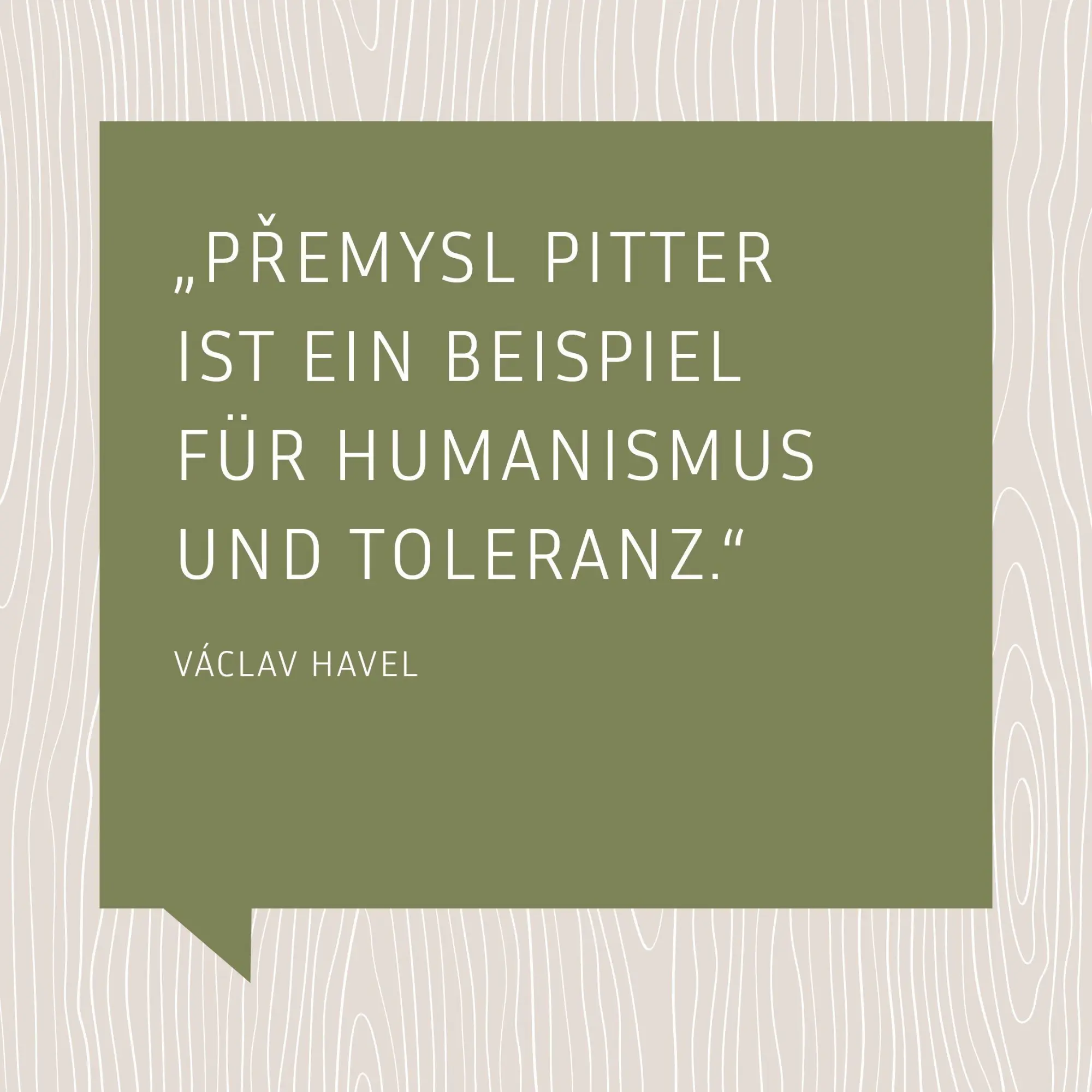 Bild: 9783862560837 | Unter dem Rad der Geschichte | Premysl Pitter | Taschenbuch | XVI
