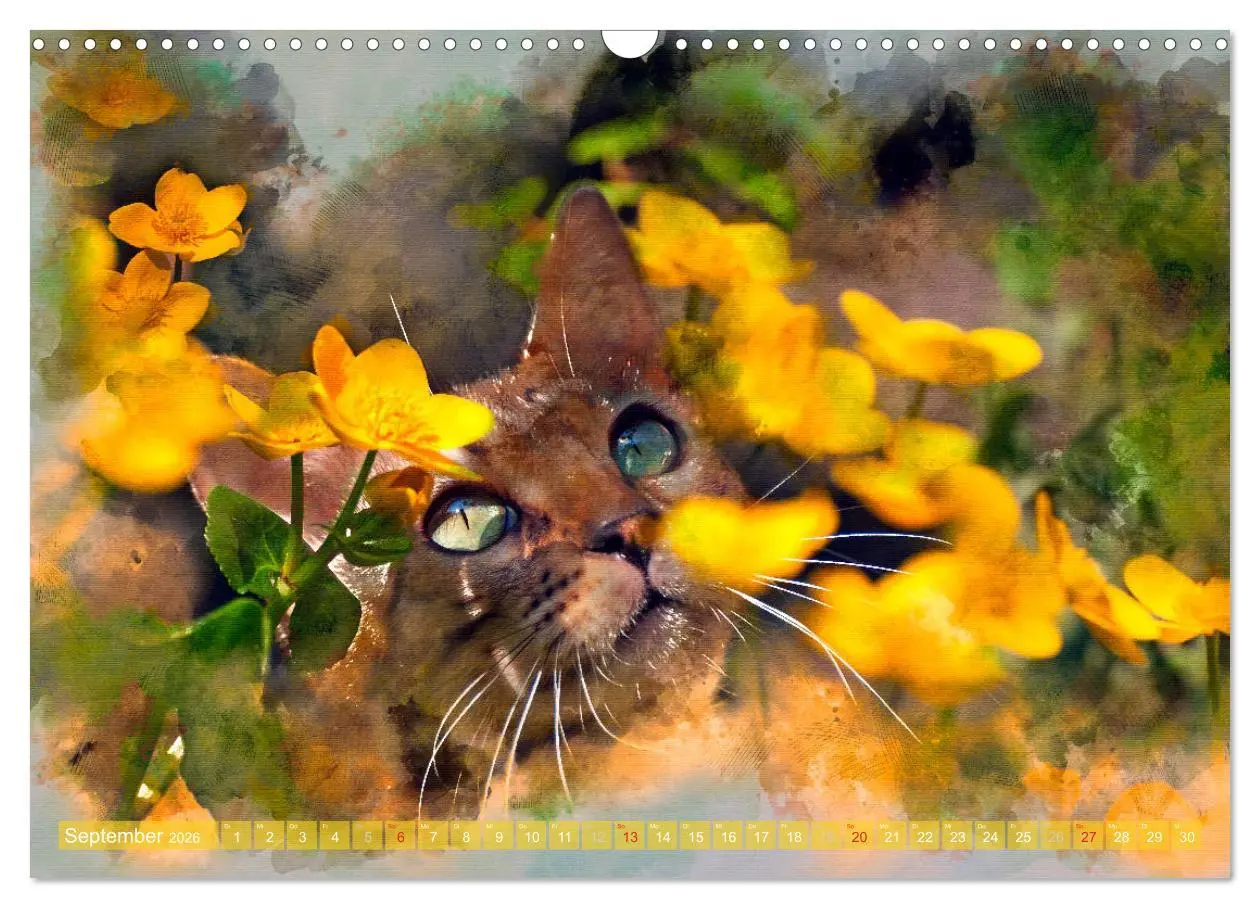 Bild: 9783457880937 | Katzenkalender mausgemalt (Wandkalender 2026 DIN A3 quer), CALVENDO...