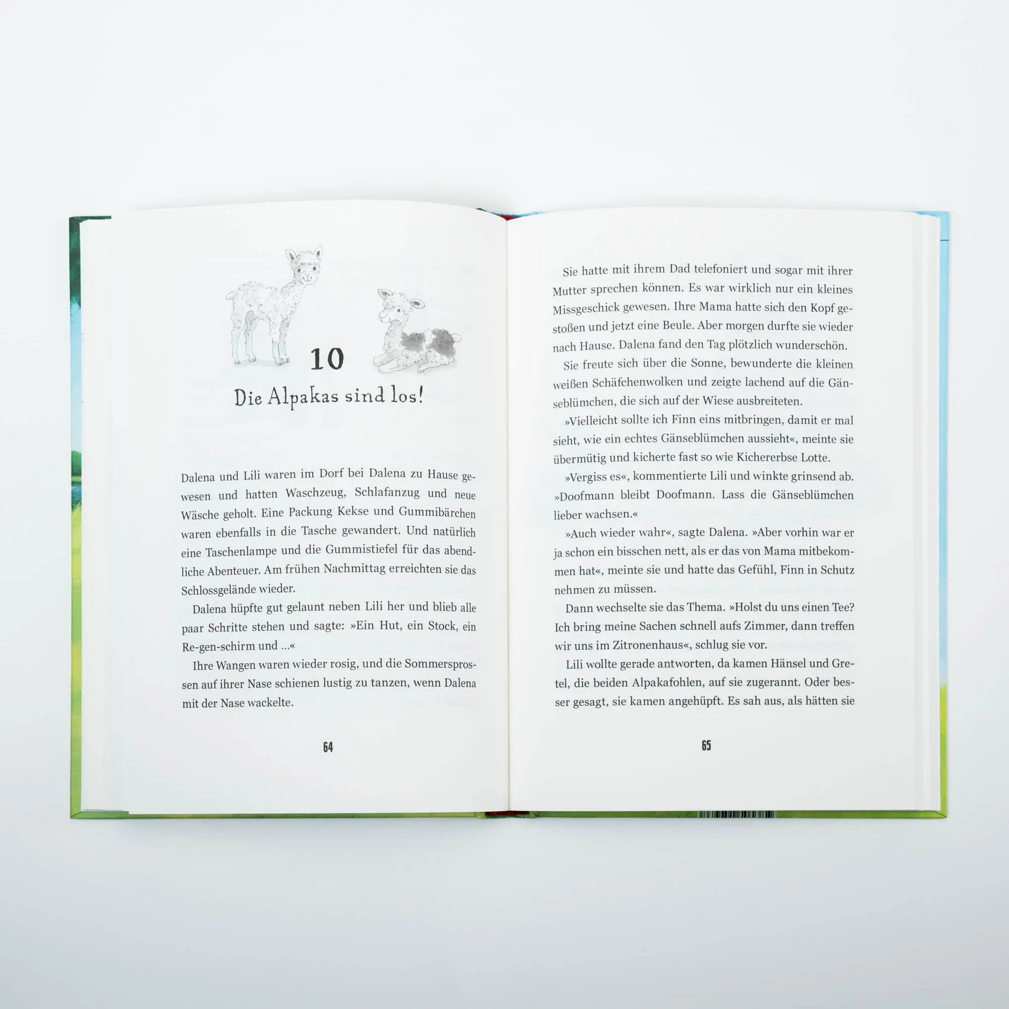 Bild: 9783505150937 | Internat Schloss Sommerberg - Fünf Pfoten retten Ferdinand Nuss | Buch