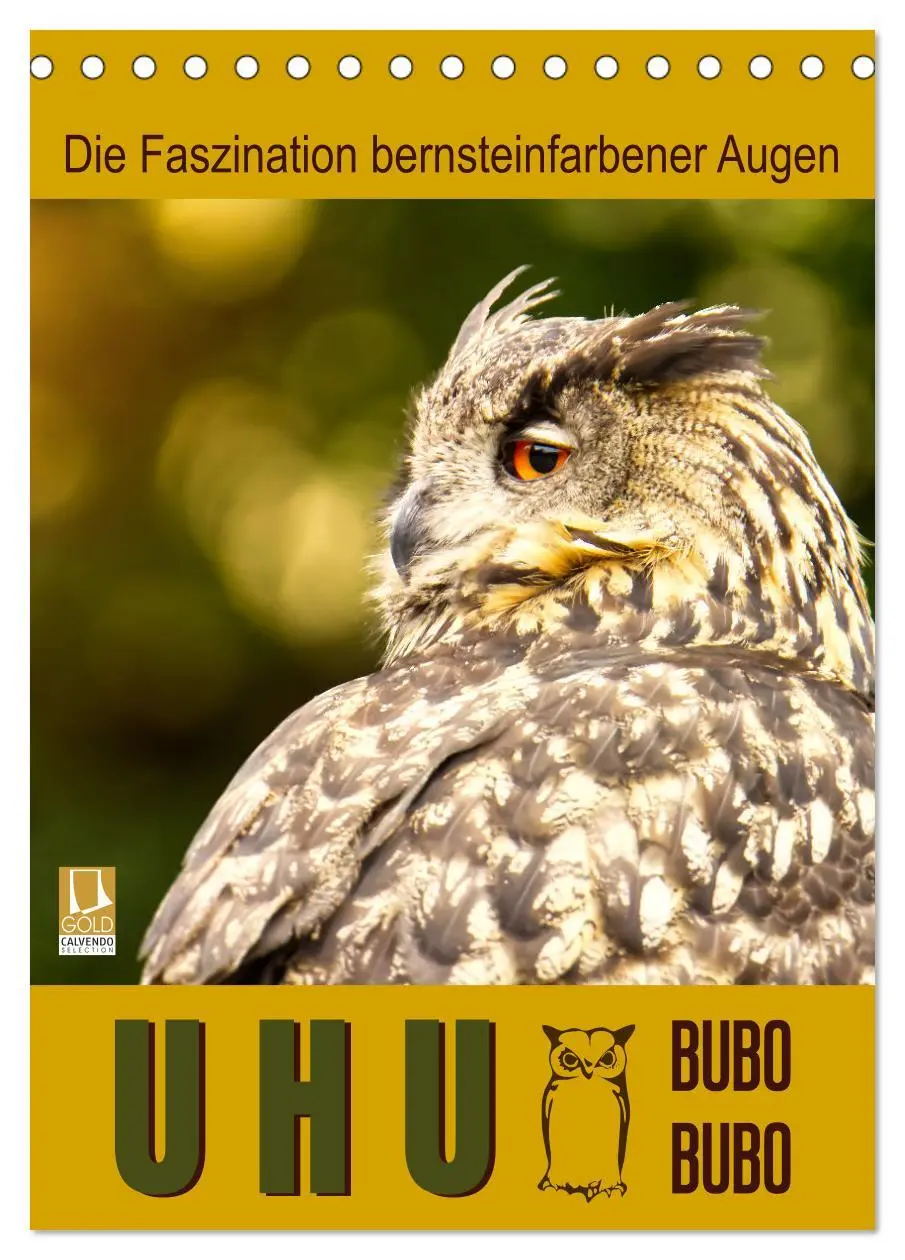 Cover: 9783516350937 | Uhu, die Faszination bernsteinfarbener Augen (Tischkalender 2026...