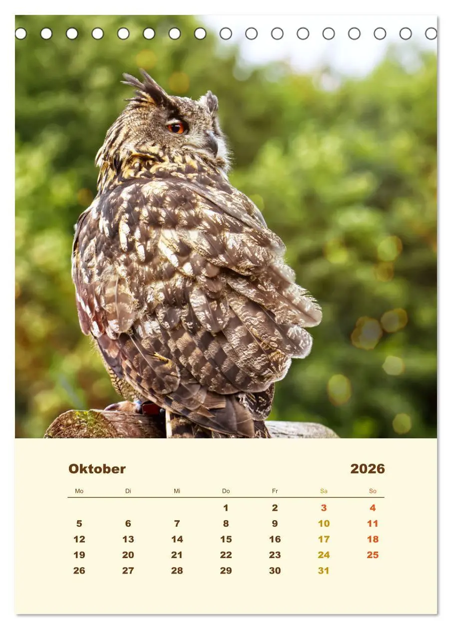 Bild: 9783516350937 | Uhu, die Faszination bernsteinfarbener Augen (Tischkalender 2026...