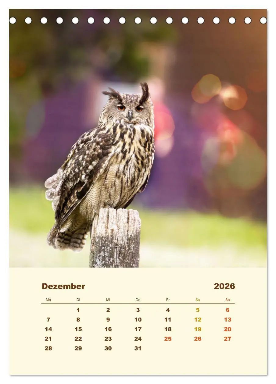 Bild: 9783516350937 | Uhu, die Faszination bernsteinfarbener Augen (Tischkalender 2026...