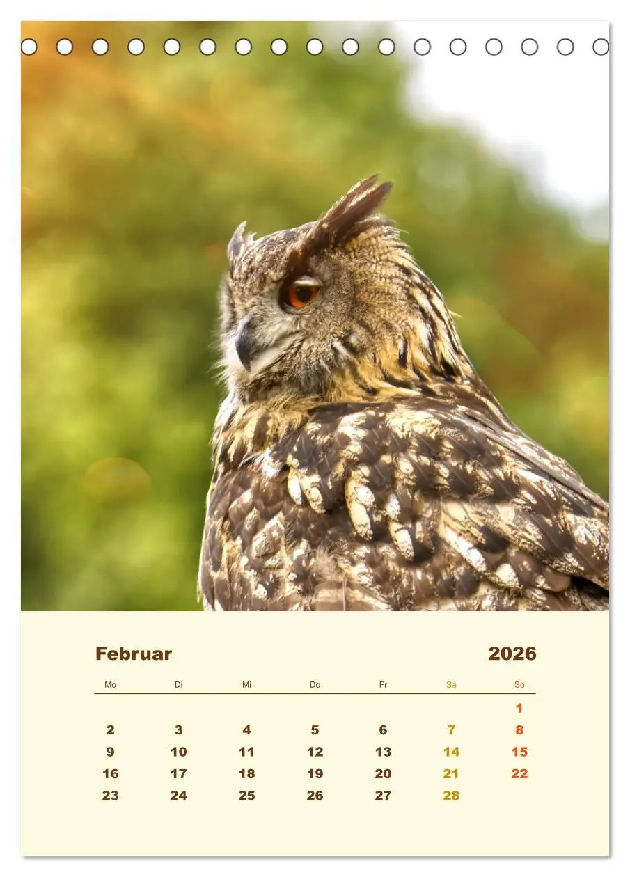 Bild: 9783516350937 | Uhu, die Faszination bernsteinfarbener Augen (Tischkalender 2026...