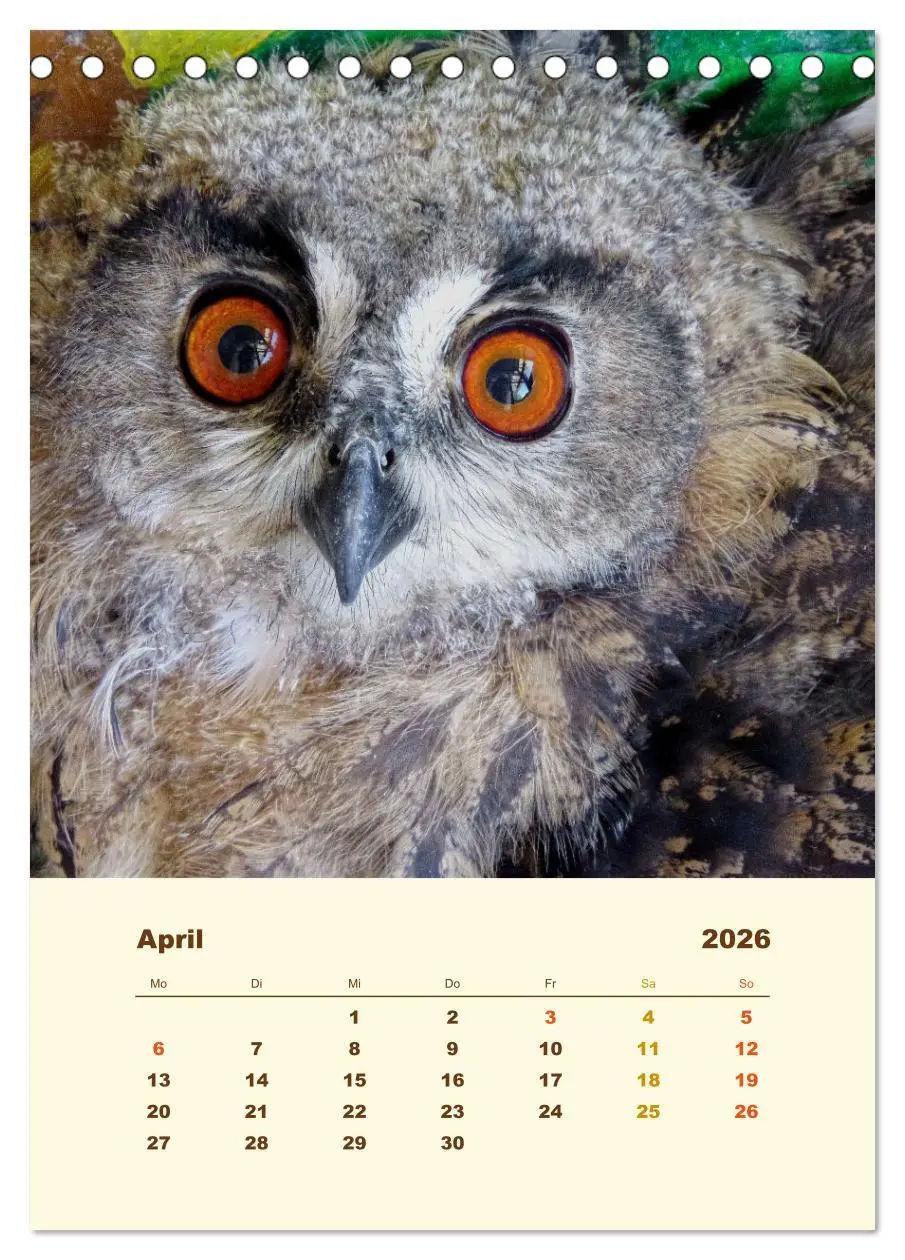 Bild: 9783516350937 | Uhu, die Faszination bernsteinfarbener Augen (Tischkalender 2026...