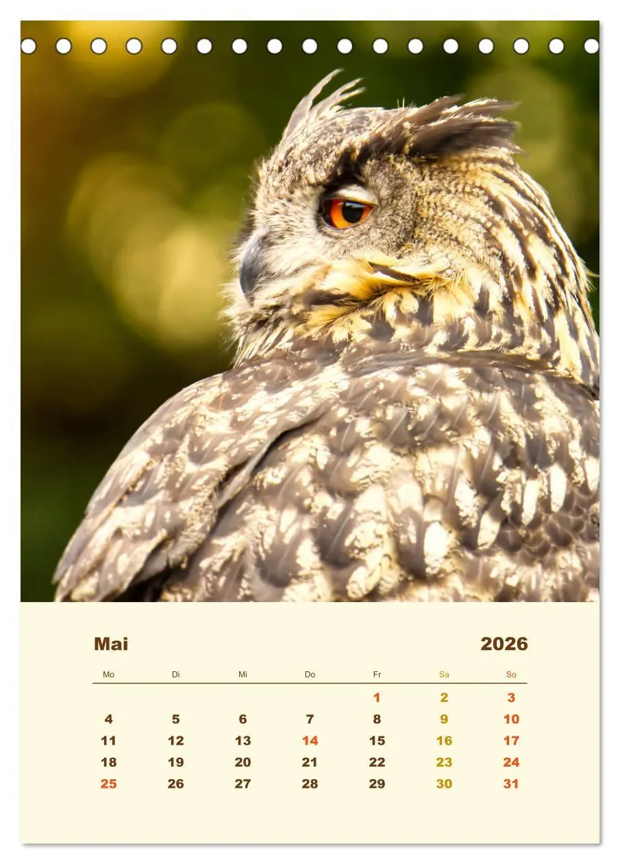 Bild: 9783516350937 | Uhu, die Faszination bernsteinfarbener Augen (Tischkalender 2026...