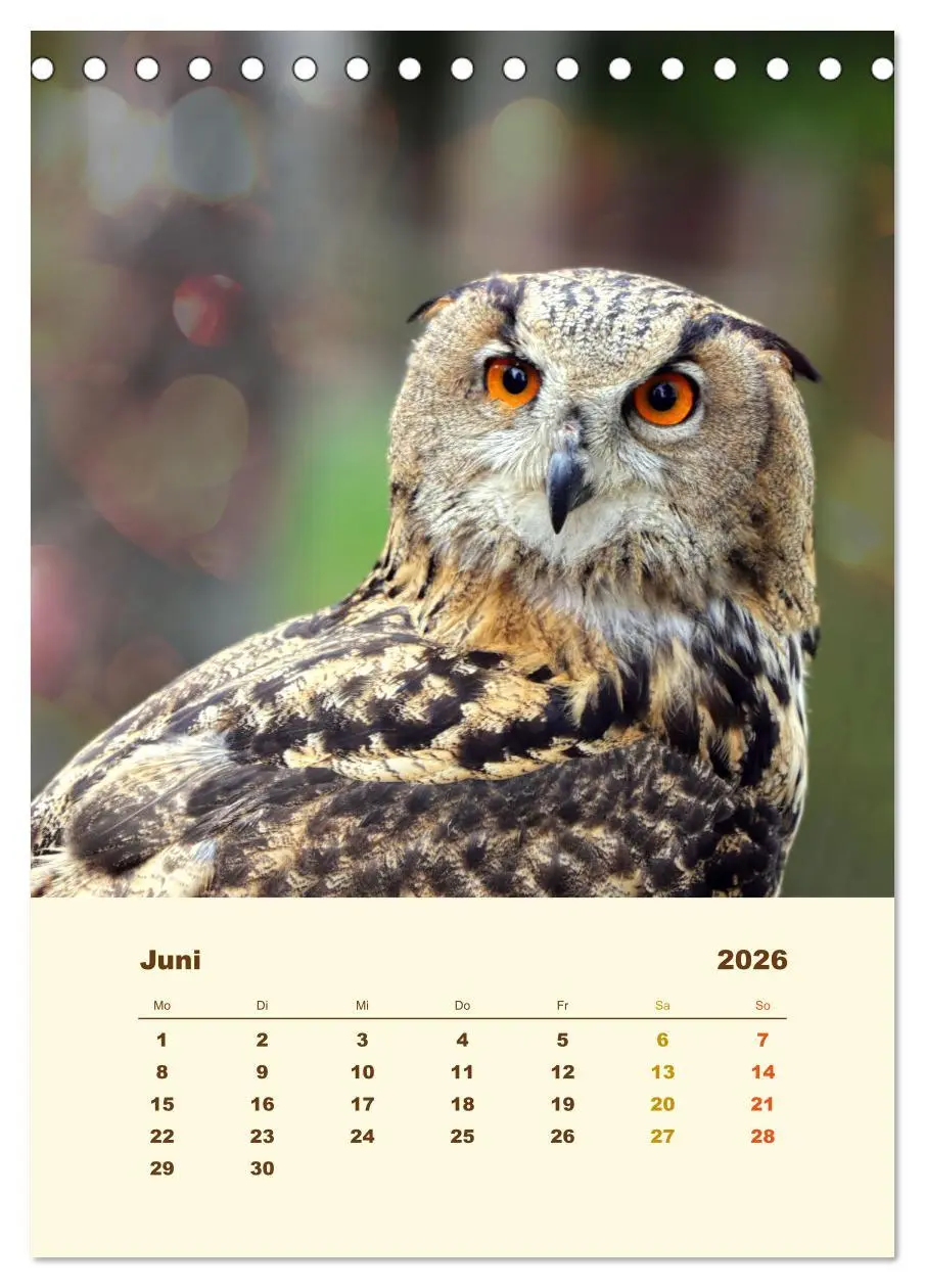 Bild: 9783516350937 | Uhu, die Faszination bernsteinfarbener Augen (Tischkalender 2026...
