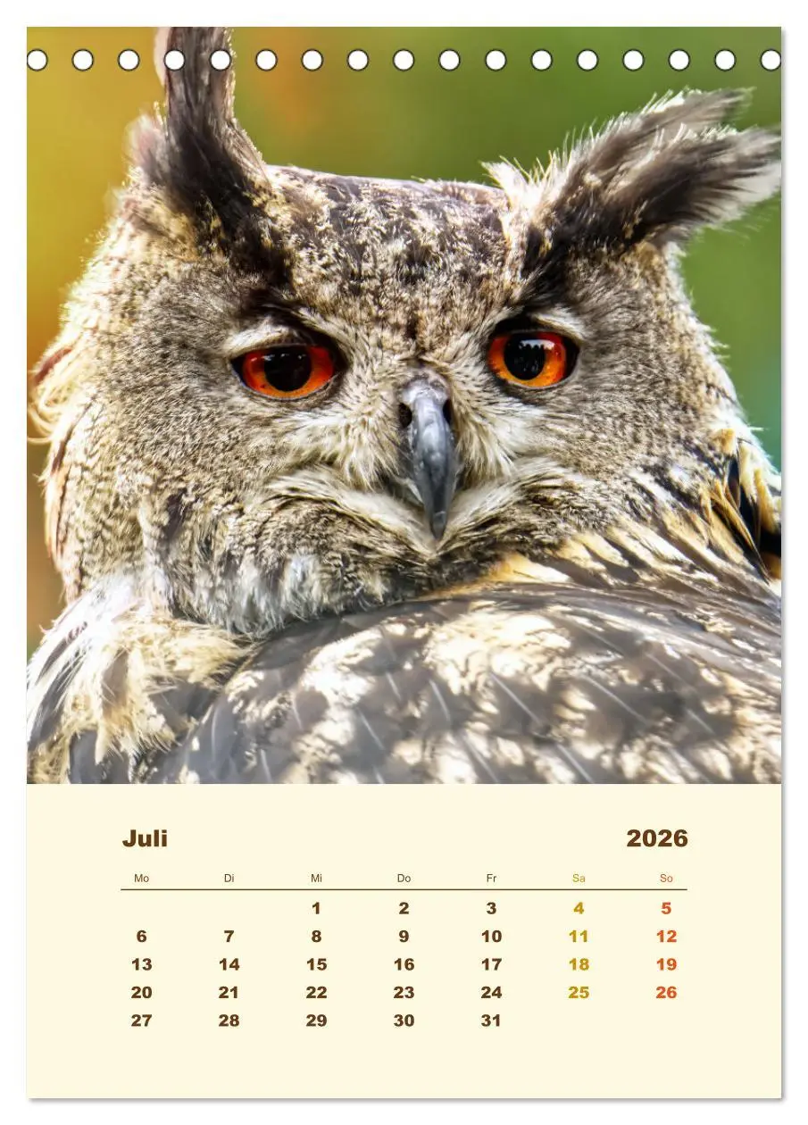 Bild: 9783516350937 | Uhu, die Faszination bernsteinfarbener Augen (Tischkalender 2026...