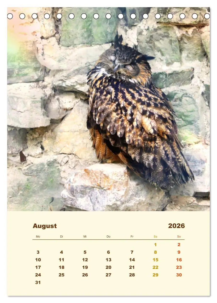 Bild: 9783516350937 | Uhu, die Faszination bernsteinfarbener Augen (Tischkalender 2026...