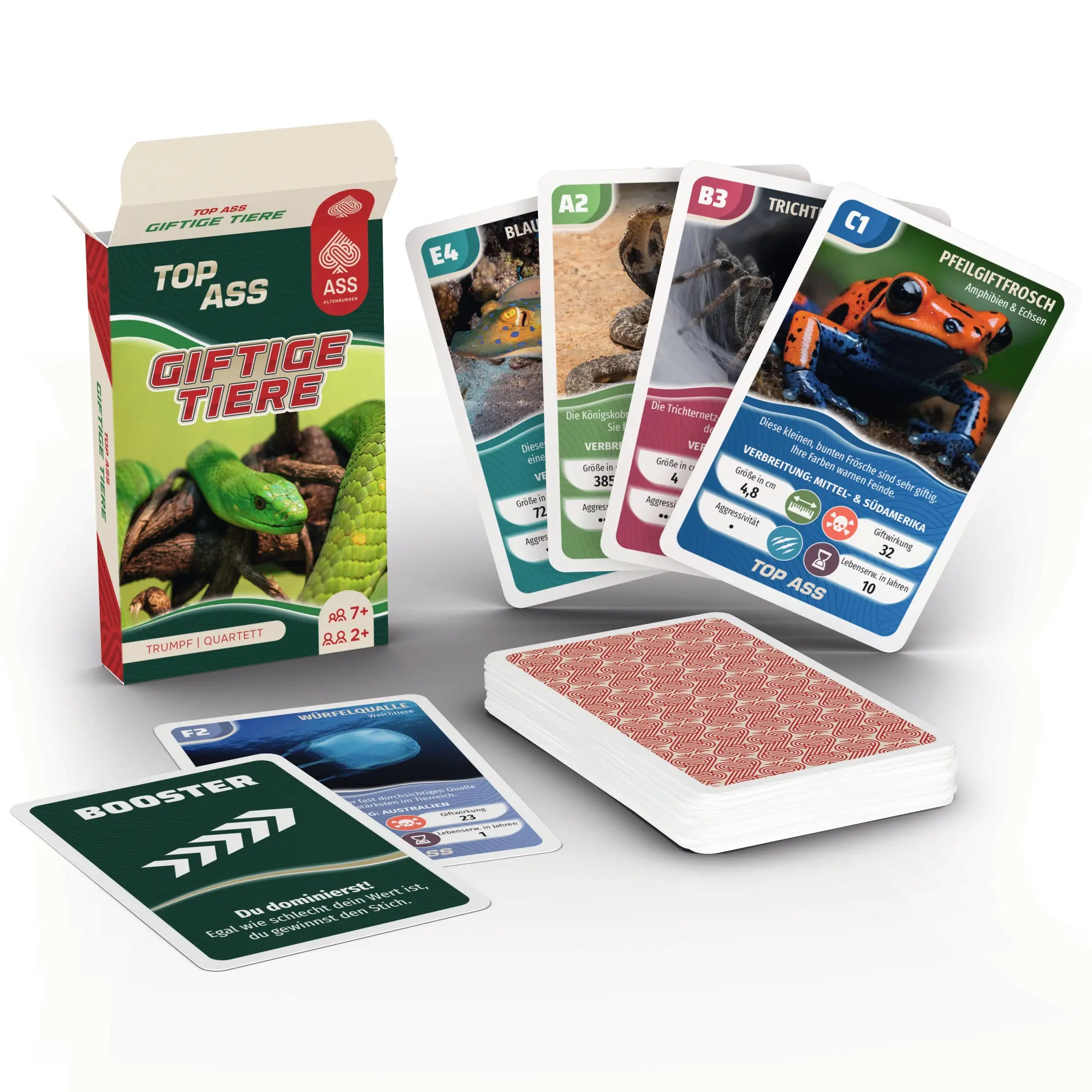Bild: 4042677721037 | TOP ASS - Giftige Tiere | Spielkartenfabrik Altenburg GmbH | Spiel
