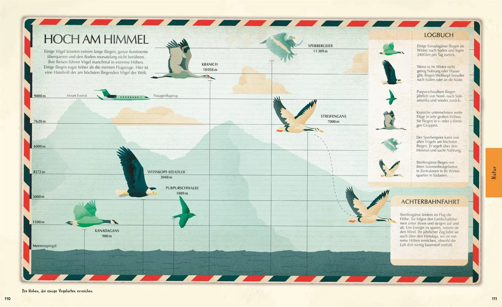 Bild: 9783831051137 | Welt-Entdecker | Lizzie Munsey | Buch | 160 S. | Deutsch | 2025