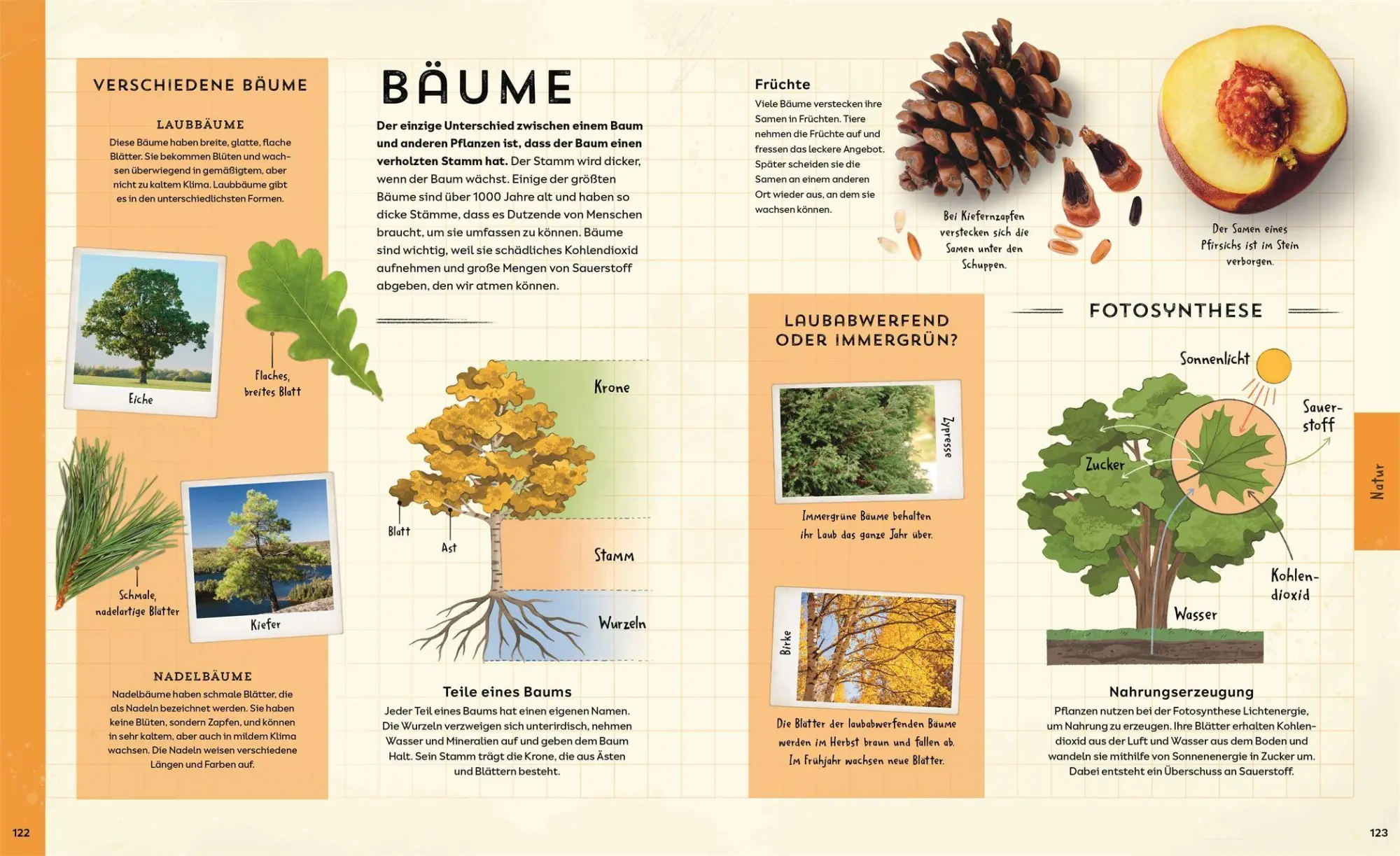 Bild: 9783831051137 | Welt-Entdecker | Lizzie Munsey | Buch | 160 S. | Deutsch | 2025