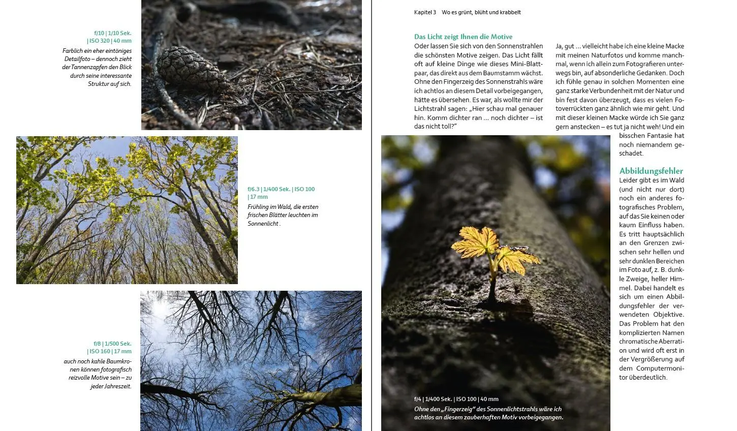 Bild: 9783832801137 | Bessere Fotos - leicht gemacht! | Beate Zoellner | Taschenbuch | 2015