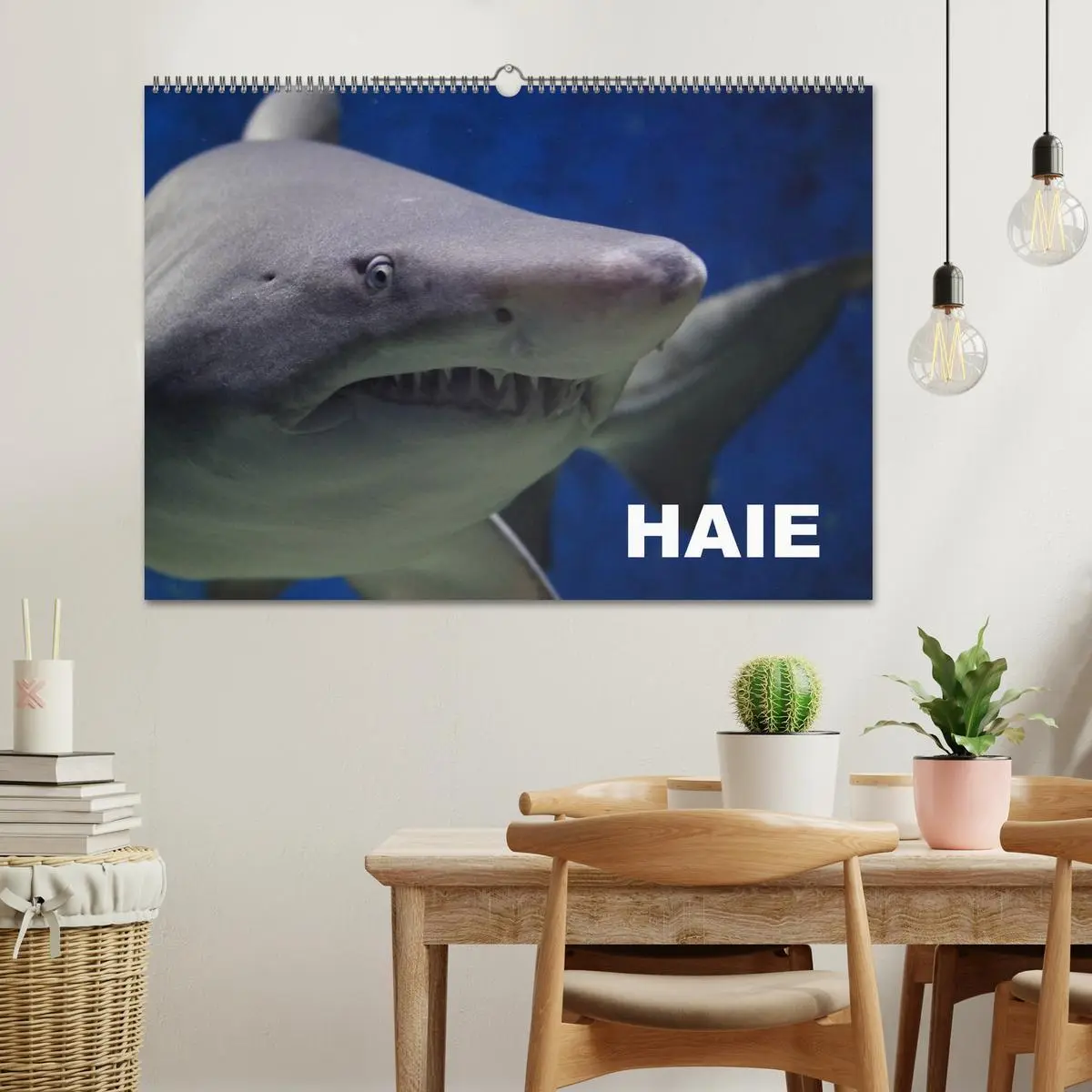 Bild: 9783457991237 | Haie (Wandkalender 2026 DIN A2 quer), CALVENDO Monatskalender | 2026