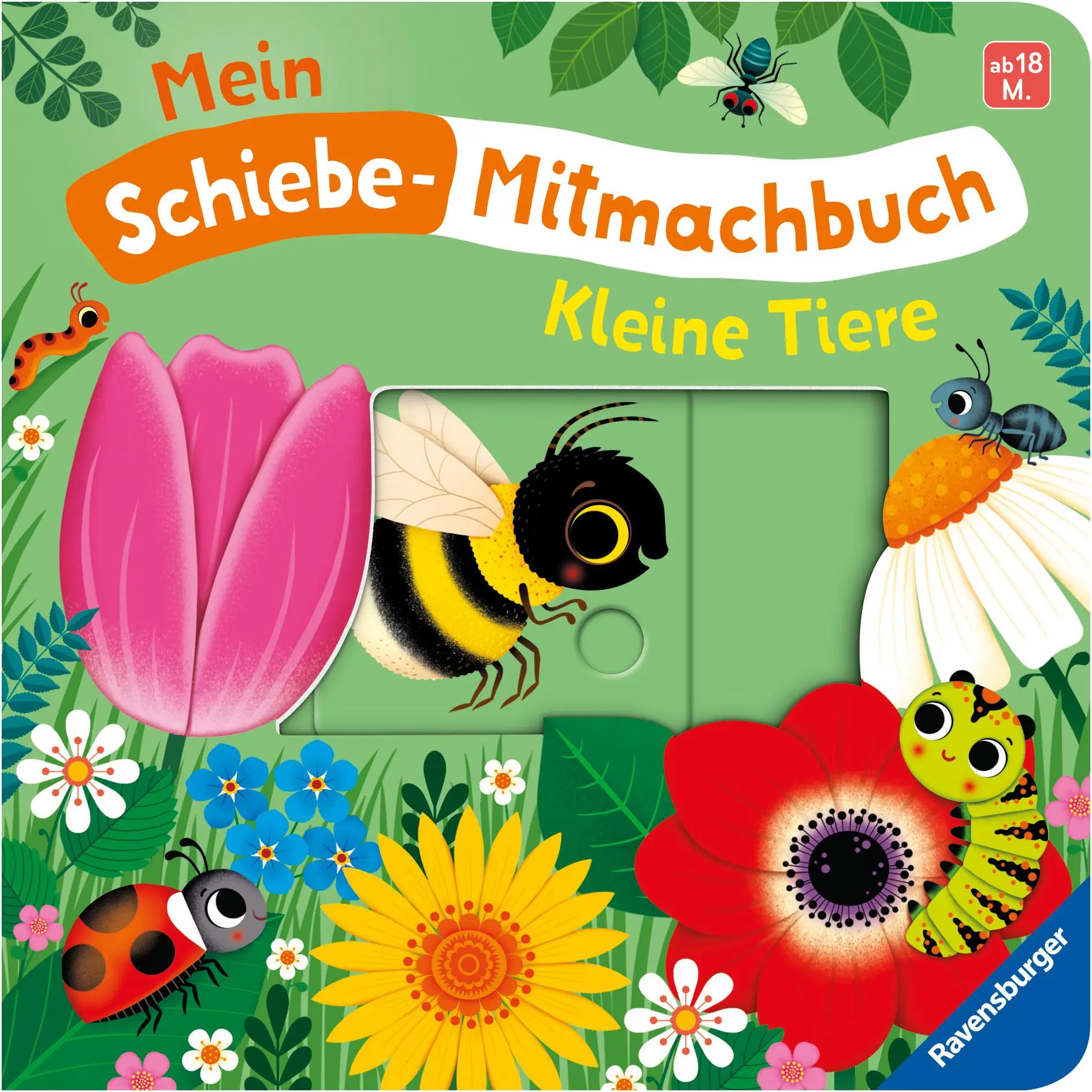 Cover: 9783473421237 | Mein Schiebe-Mitmachbuch - Kleine Tiere | Bernd Penners | Buch | 12 S.