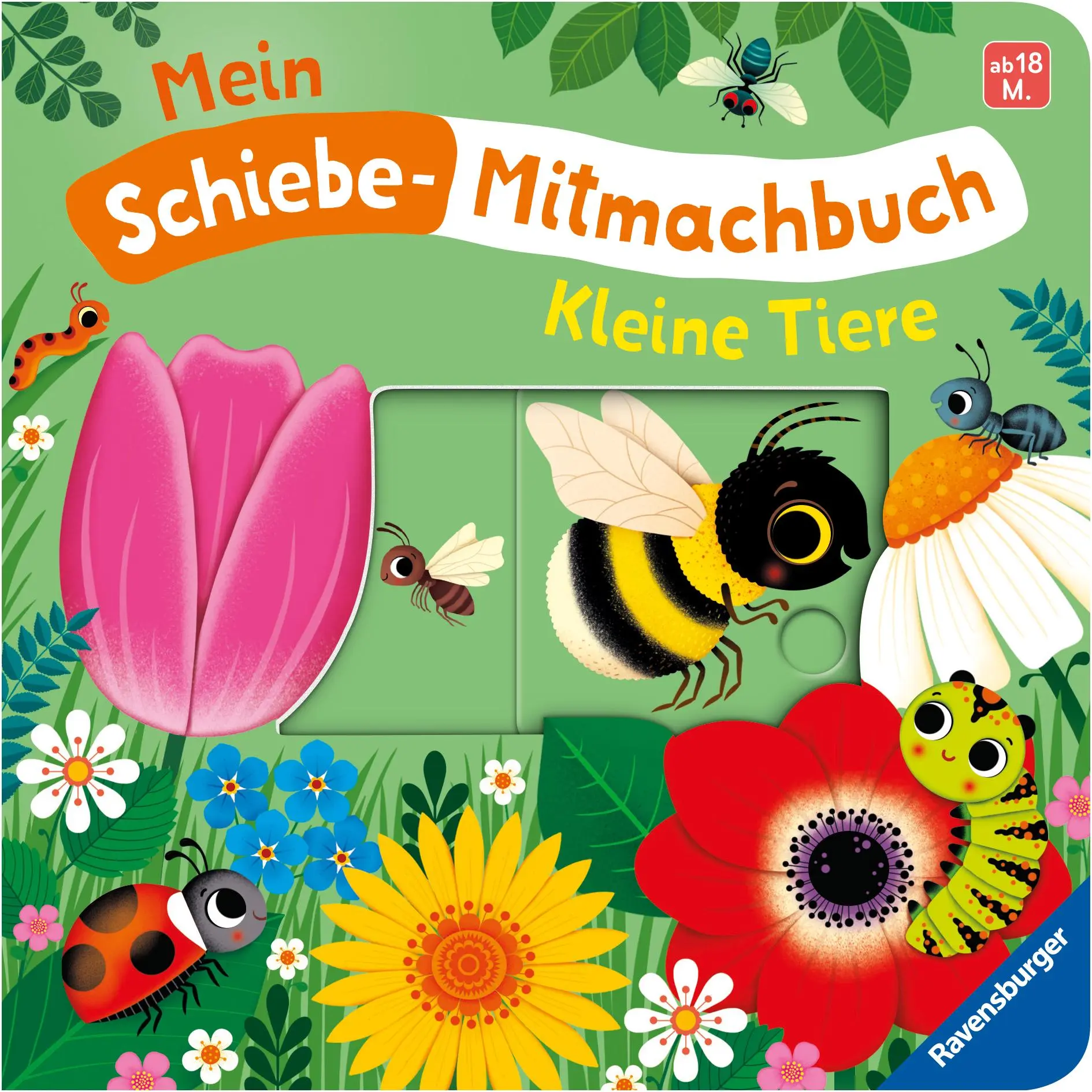 Bild: 9783473421237 | Mein Schiebe-Mitmachbuch - Kleine Tiere | Bernd Penners | Buch | 12 S.