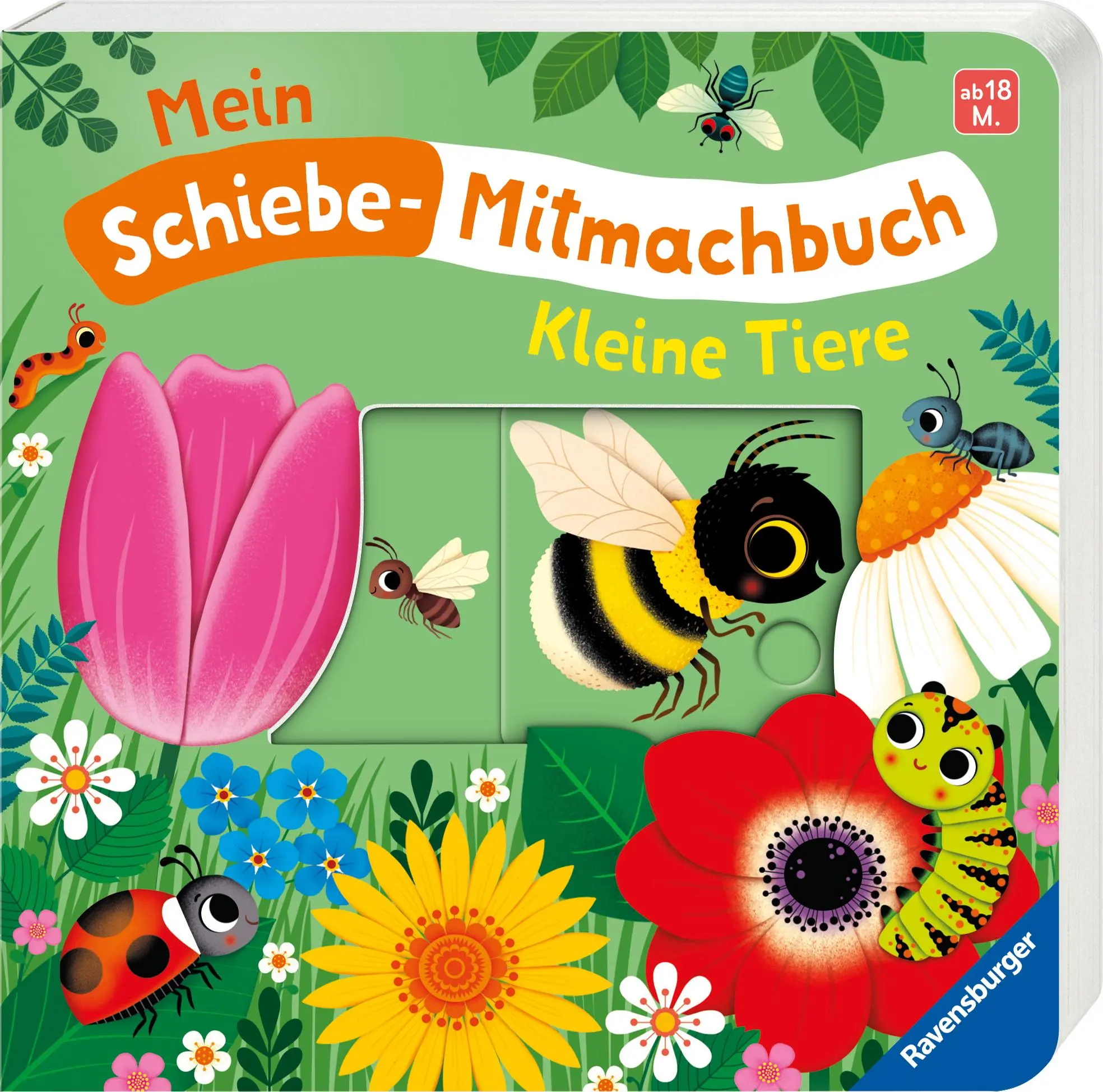 Bild: 9783473421237 | Mein Schiebe-Mitmachbuch - Kleine Tiere | Bernd Penners | Buch | 12 S.