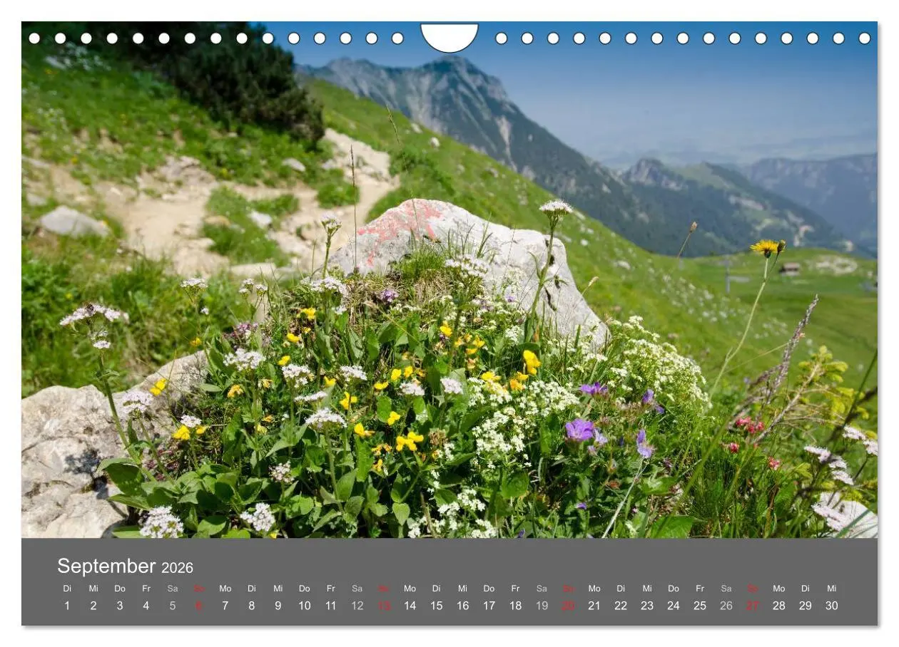 Bild: 9783516221237 | Tannheimer Tal (Wandkalender 2026 DIN A4 quer), CALVENDO...