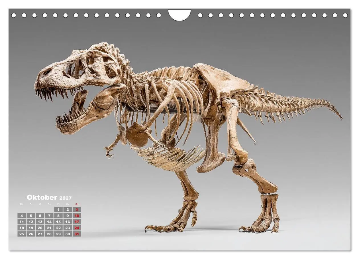 Bild: 9783516911237 | Knochen der Giganten - Dinosaurier im Porträt (Wandkalender 2027...