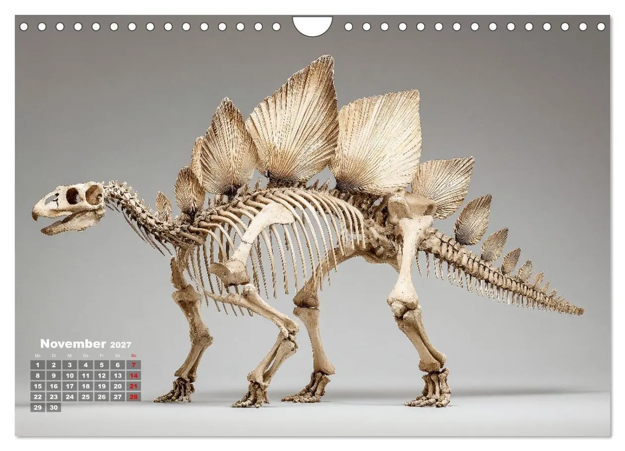 Bild: 9783516911237 | Knochen der Giganten - Dinosaurier im Porträt (Wandkalender 2027...