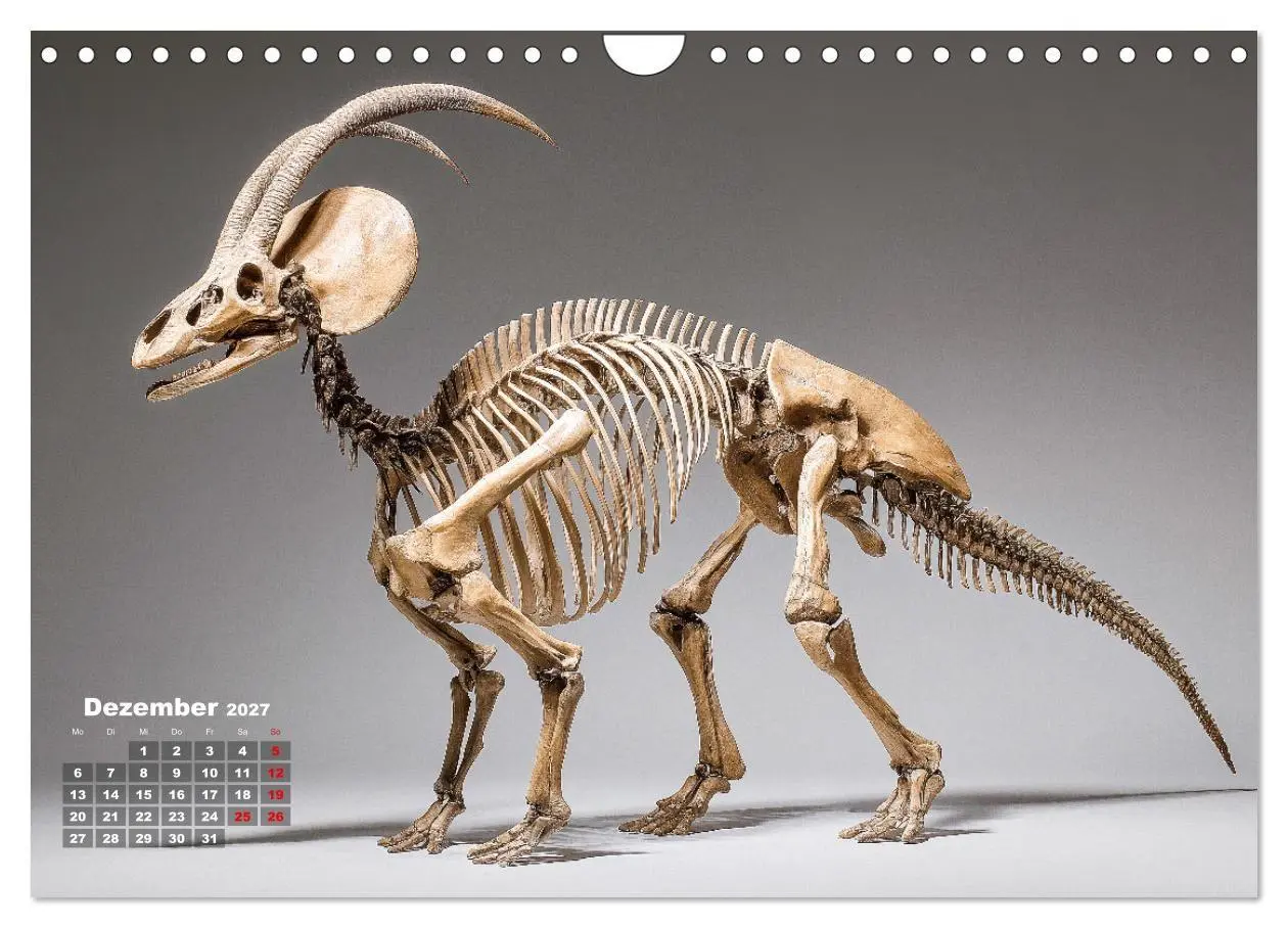Bild: 9783516911237 | Knochen der Giganten - Dinosaurier im Porträt (Wandkalender 2027...