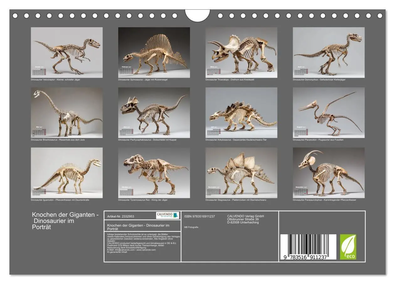 Bild: 9783516911237 | Knochen der Giganten - Dinosaurier im Porträt (Wandkalender 2027...