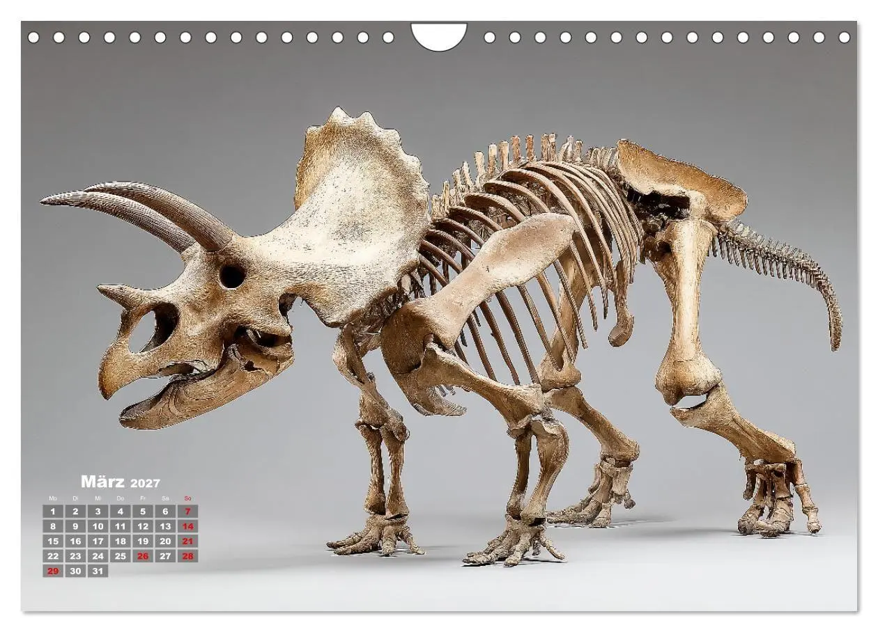 Bild: 9783516911237 | Knochen der Giganten - Dinosaurier im Porträt (Wandkalender 2027...