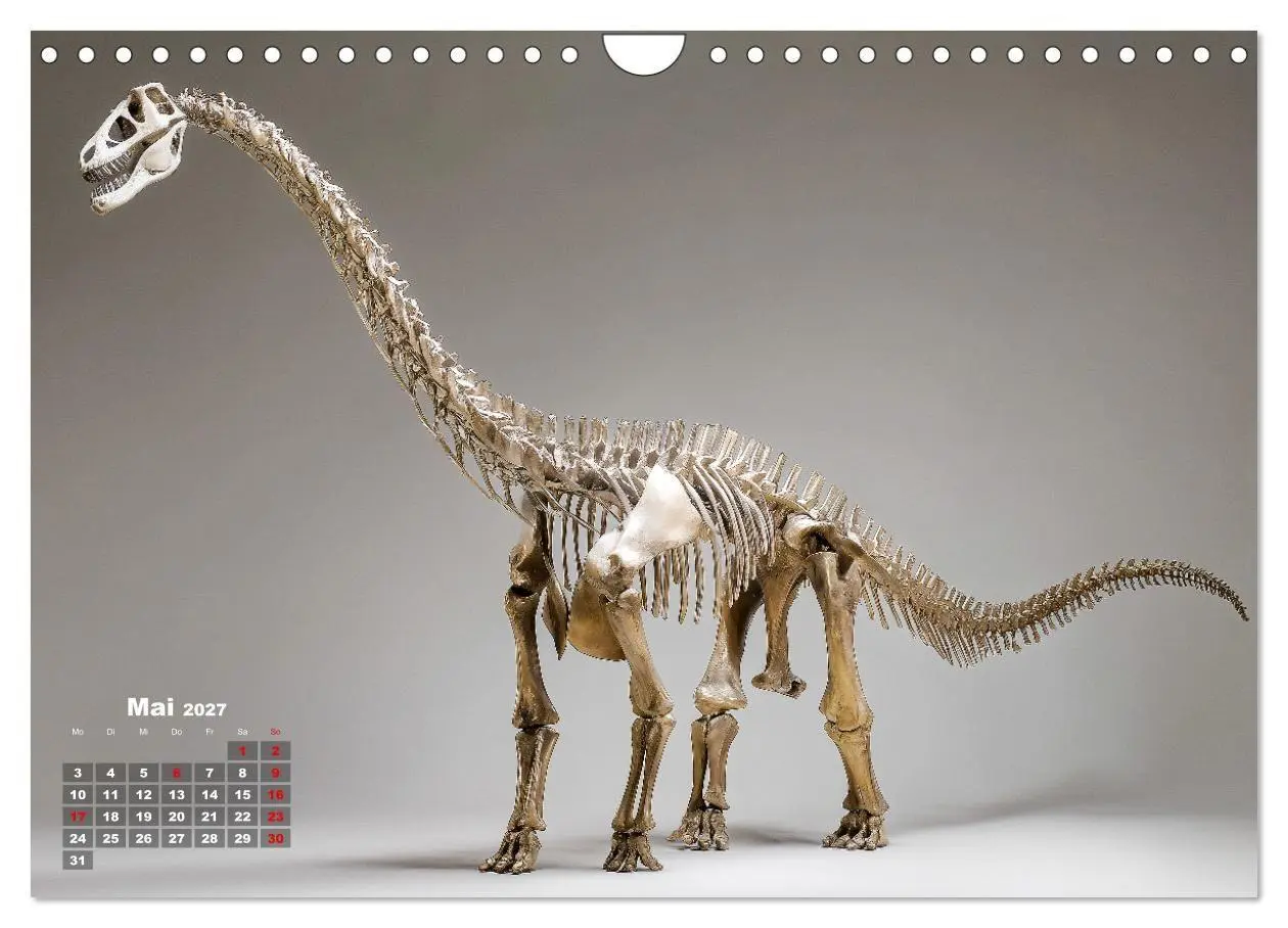 Bild: 9783516911237 | Knochen der Giganten - Dinosaurier im Porträt (Wandkalender 2027...