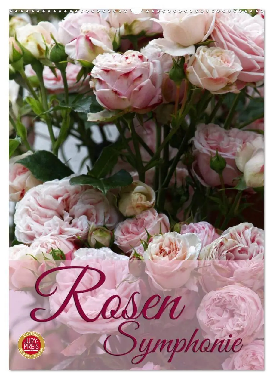 Cover: 9783594061237 | Rosen Symphonie (Wandkalender 2027 DIN A2 hoch), CALVENDO...