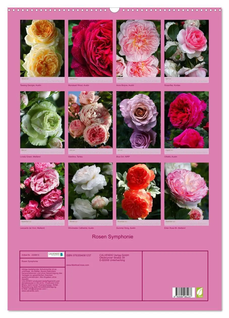 Bild: 9783594061237 | Rosen Symphonie (Wandkalender 2027 DIN A2 hoch), CALVENDO...