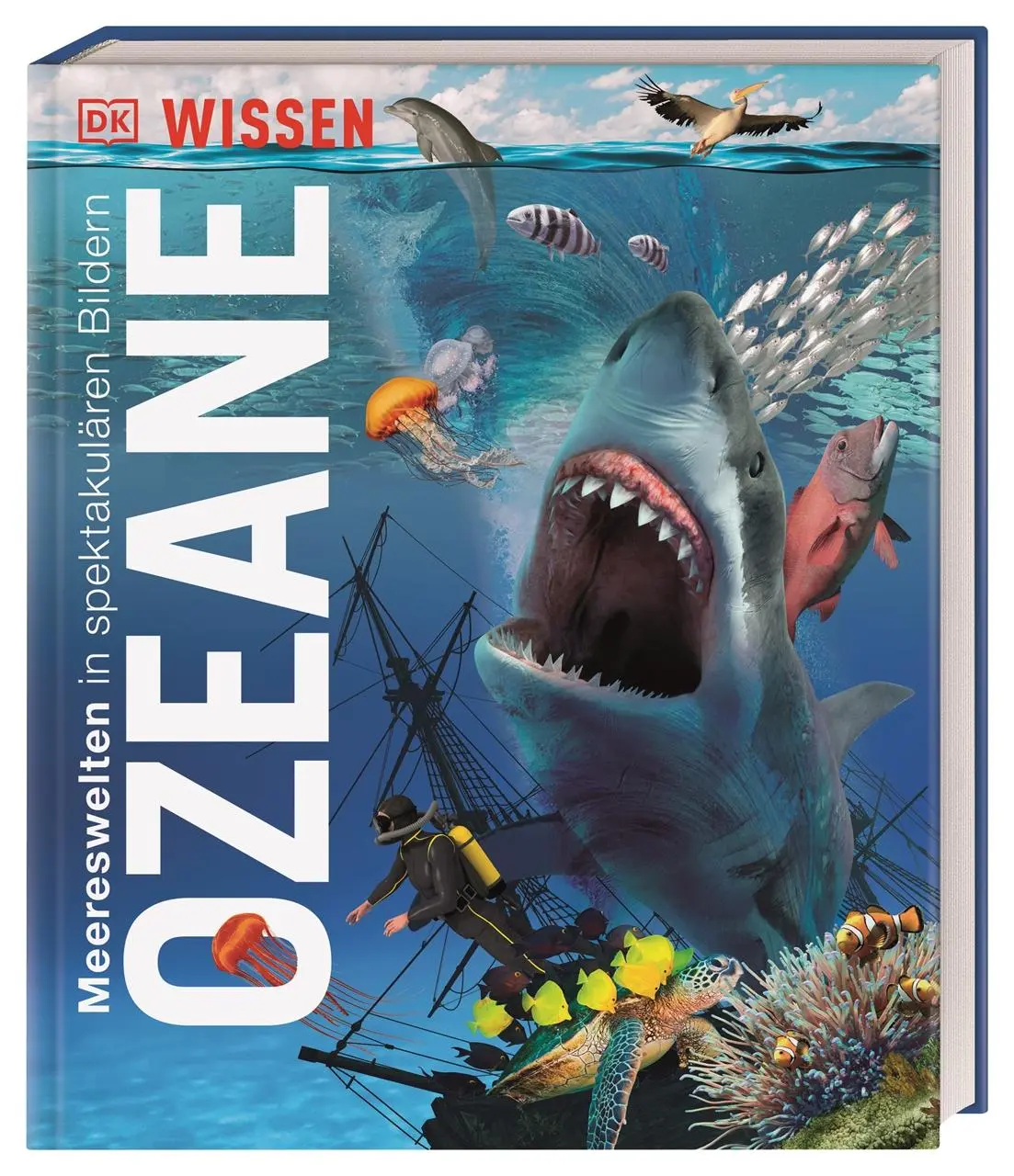Cover: 9783831041237 | DK Wissen. Ozeane | Derek Harvey | Buch | DK Wissen | 208 S. | Deutsch