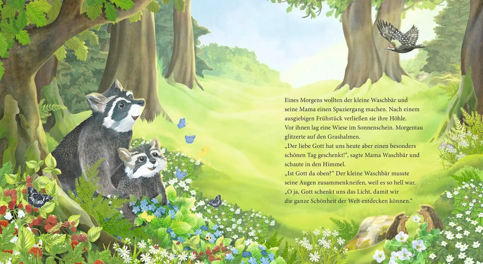Bild: 9783963401237 | Der kleine Waschbär fragt nach Gott - ein Bilderbuch für Kinder ab...