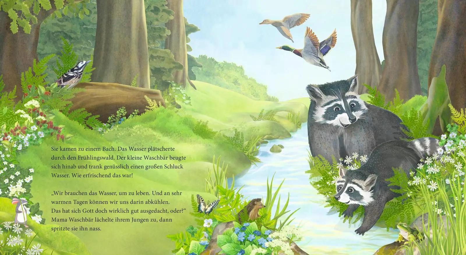Bild: 9783963401237 | Der kleine Waschbär fragt nach Gott - ein Bilderbuch für Kinder ab...
