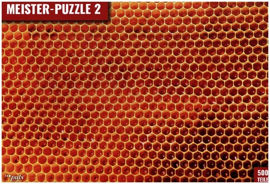 Cover: 4031288111337 | MEISTER-PUZZLE 2, Honigwaben (Puzzle) | Gerd Reger | Spiel | 11133
