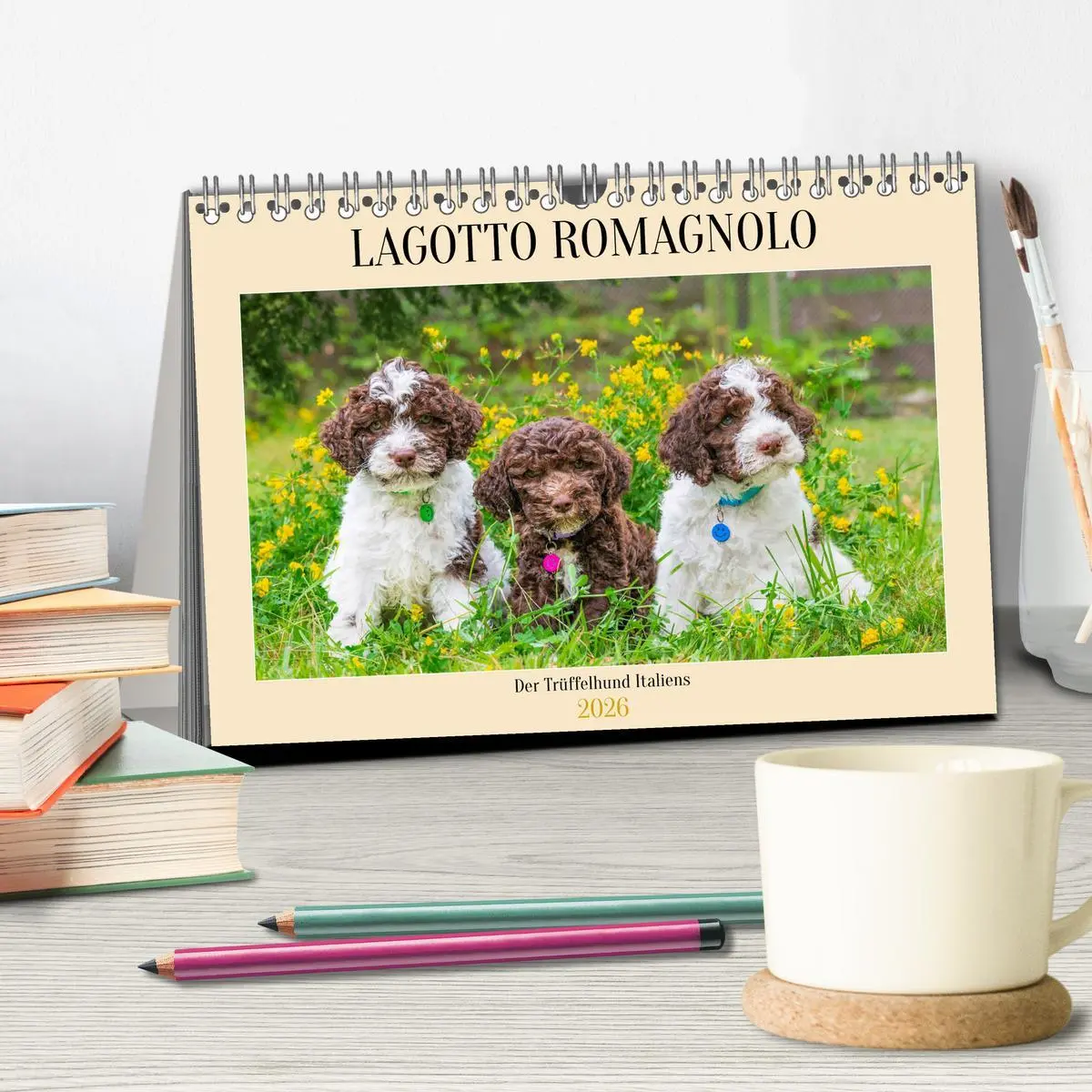Bild: 9783457501337 | Lagotto Romagnolo - der Trüffelhund Italiens (Tischkalender 2026...