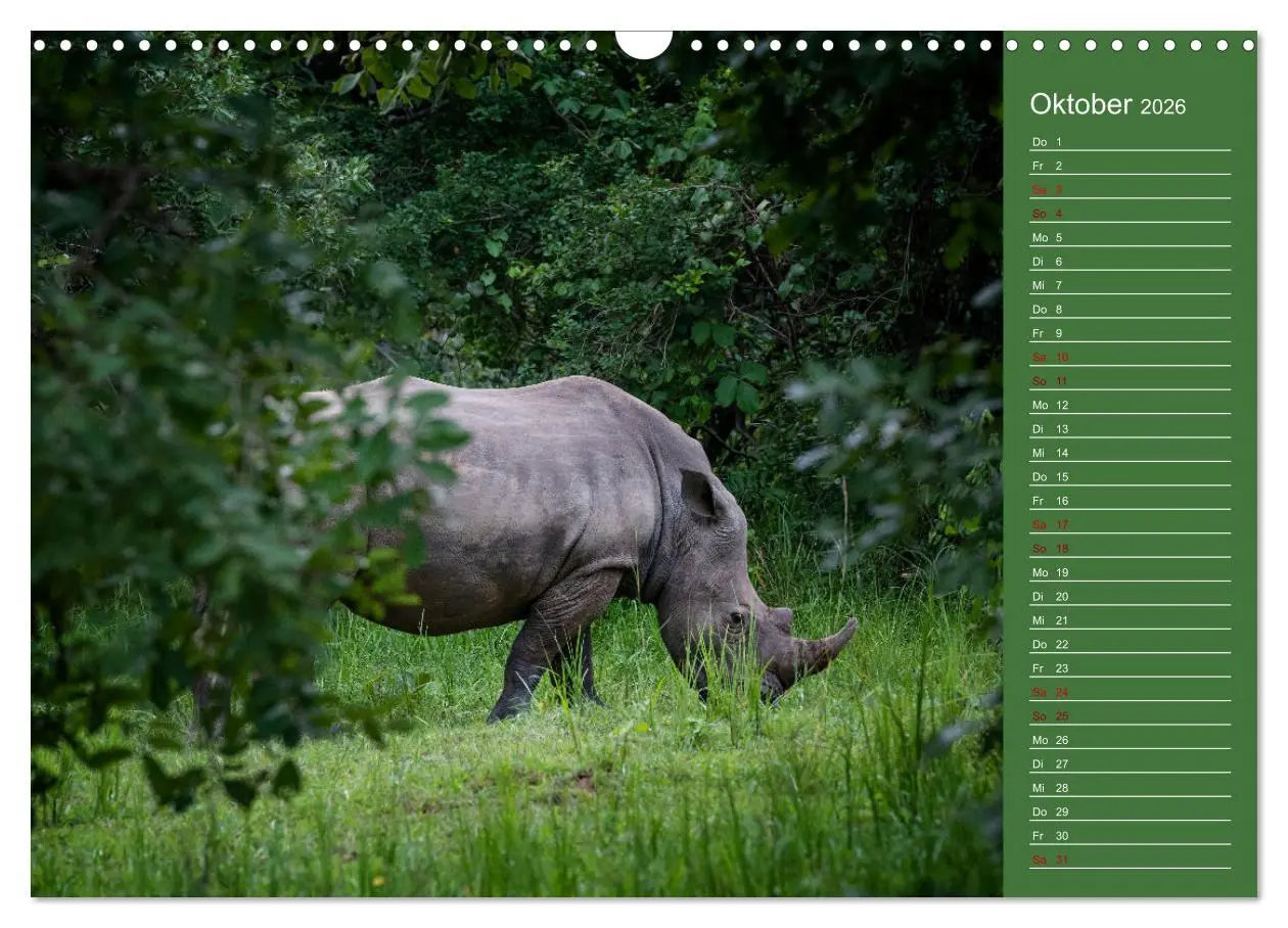 Bild: 9783457591437 | UGANDA - Perle Afrikas (Wandkalender 2026 DIN A3 quer), CALVENDO...