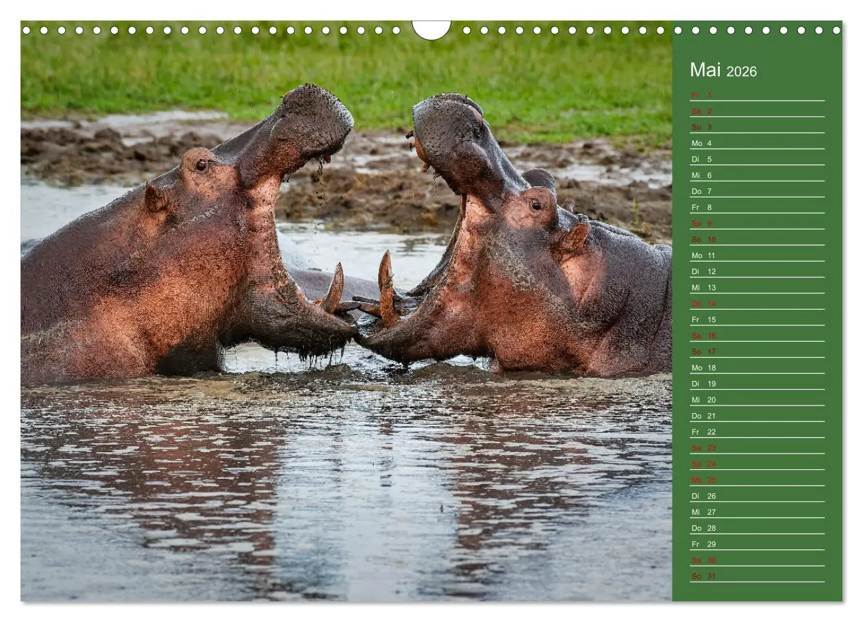 Bild: 9783457591437 | UGANDA - Perle Afrikas (Wandkalender 2026 DIN A3 quer), CALVENDO...