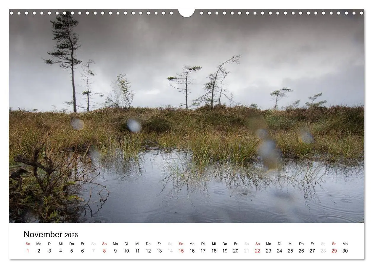 Bild: 9783457971437 | Naturerlebnis im Biosphärenreservat Rhön (Wandkalender 2026 DIN A3...