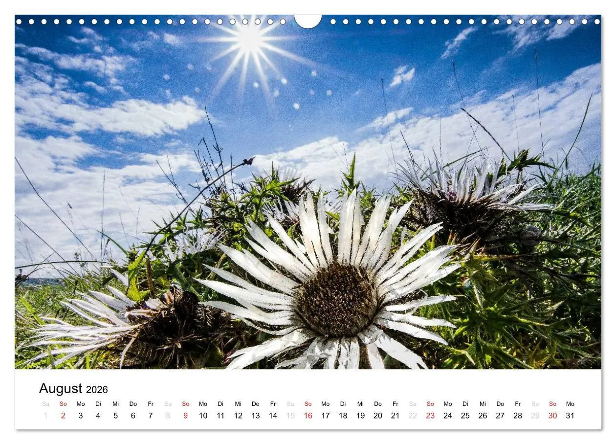 Bild: 9783457971437 | Naturerlebnis im Biosphärenreservat Rhön (Wandkalender 2026 DIN A3...