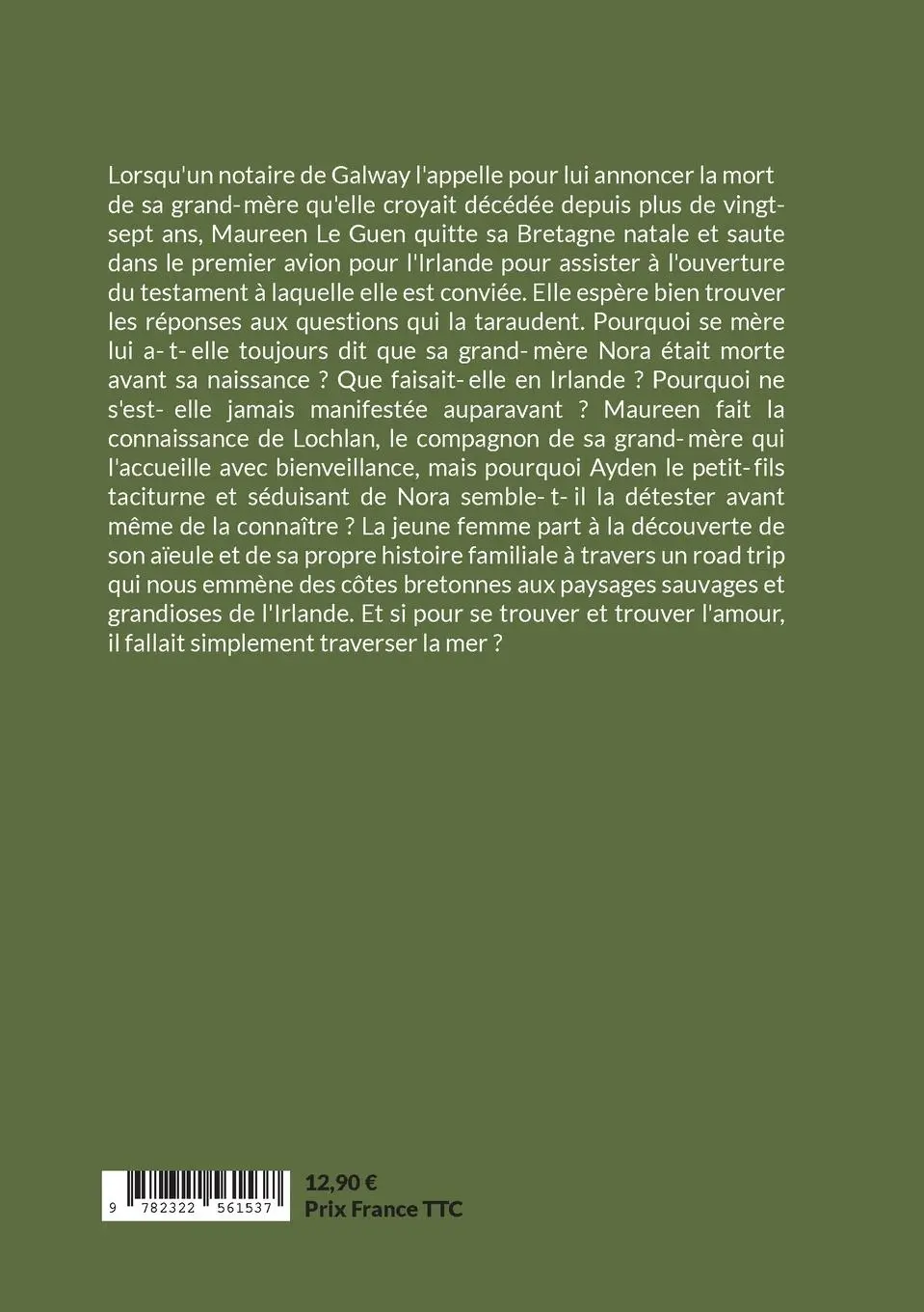 Rückseite: 9782322561537 | Sous ton ciel d'Irlande | Misty Kenzie | Taschenbuch | Französisch