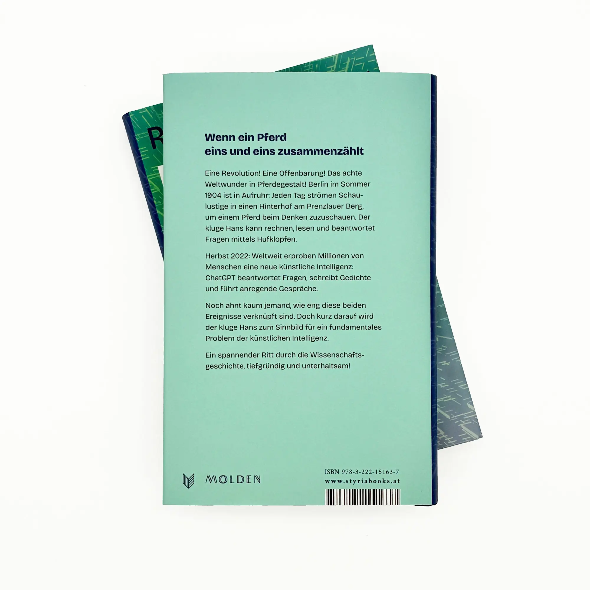 Bild: 9783222151637 | Das Pferd, das zu viel wusste | Reto U. Schneider | Buch | 272 S.