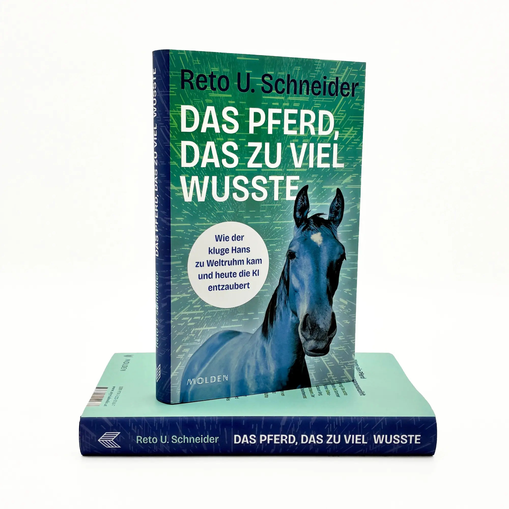 Bild: 9783222151637 | Das Pferd, das zu viel wusste | Reto U. Schneider | Buch | 272 S.