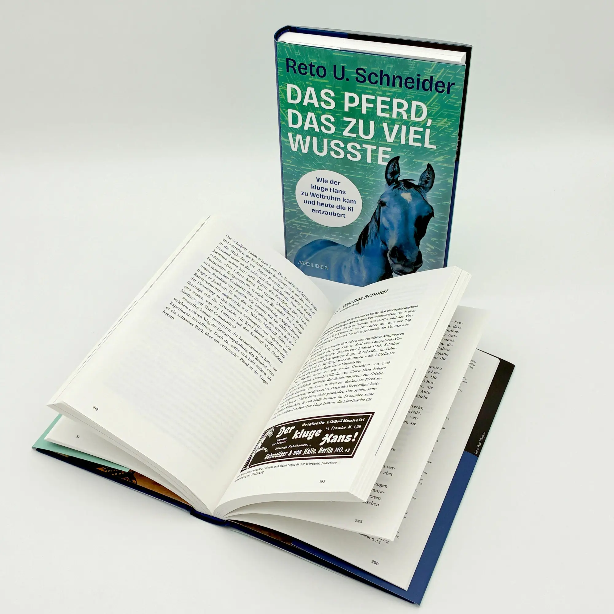 Bild: 9783222151637 | Das Pferd, das zu viel wusste | Reto U. Schneider | Buch | 272 S.