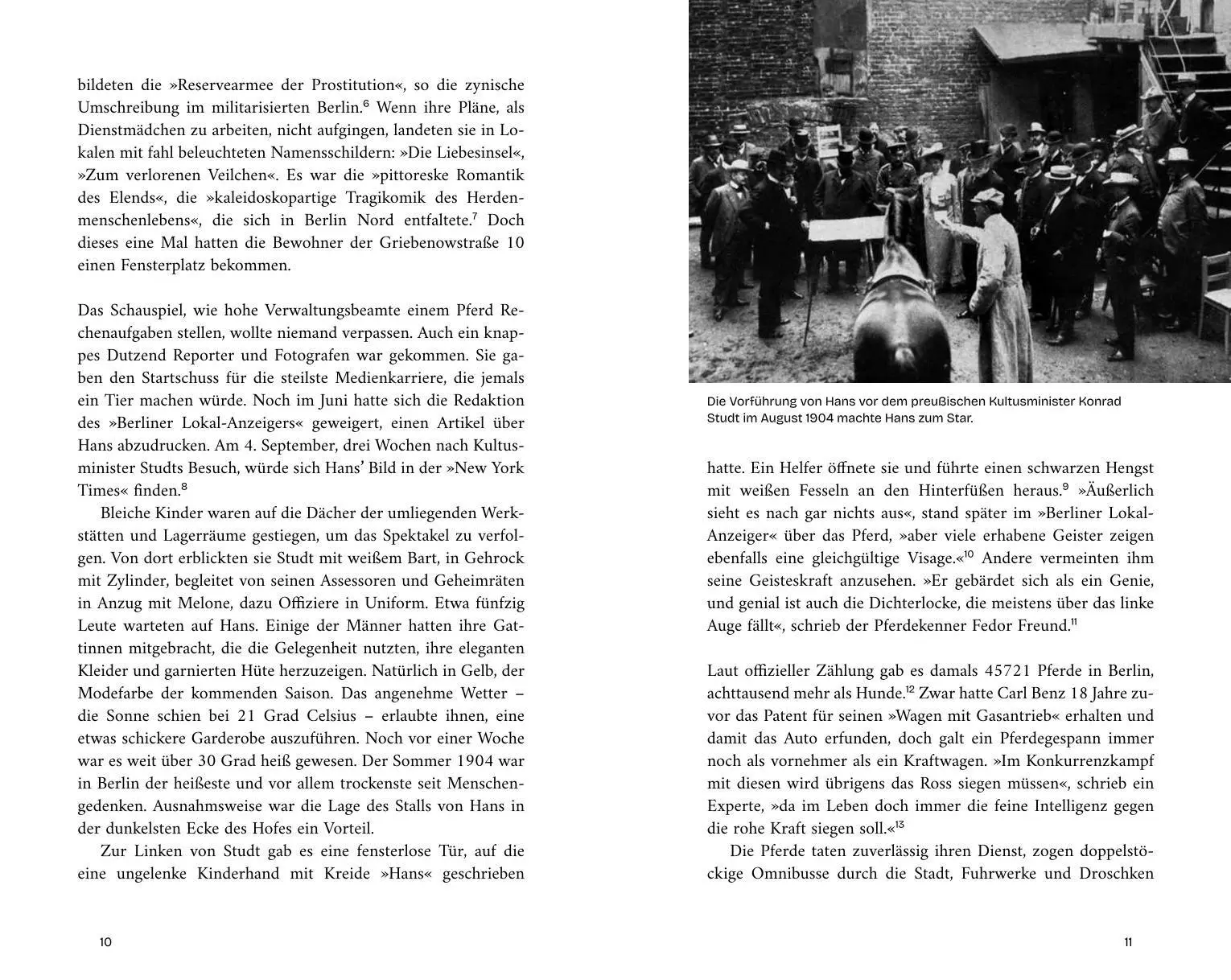 Bild: 9783222151637 | Das Pferd, das zu viel wusste | Reto U. Schneider | Buch | 272 S.